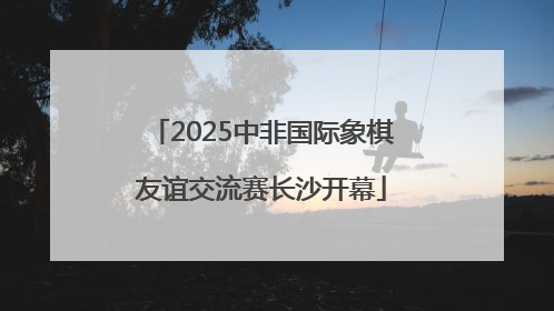 2025中非国际象棋友谊交流赛长沙开幕