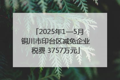 2025年1—5月铜川市印台区减免企业税费 3757万元