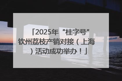 2025年“桂字号”钦州荔枝产销对接（上海）活动成功举办！