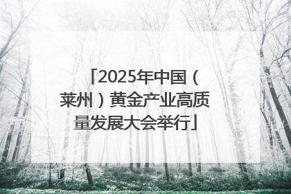 2025年中国（莱州）黄金产业高质量发展大会举行