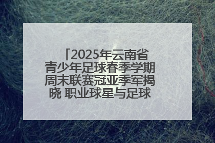 2025年云南省青少年足球春季学期周末联赛冠亚季军揭晓 职业球星与足球小将共享荣耀时刻