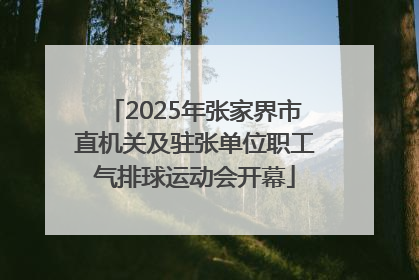 2025年张家界市直机关及驻张单位职工气排球运动会开幕