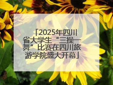2025年四川省大学生“三操一舞”比赛在四川旅游学院盛大开幕
