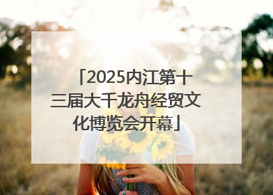 2025内江第十三届大千龙舟经贸文化博览会开幕