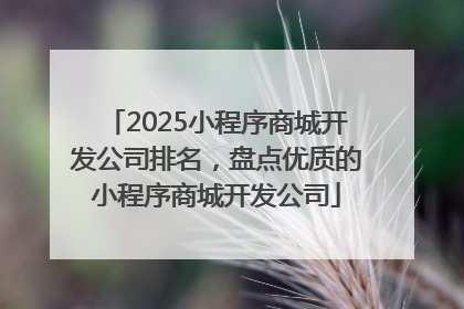 2025小程序商城开发公司排名，盘点优质的小程序商城开发公司