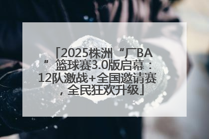 2025株洲“厂BA”篮球赛3.0版启幕：12队激战+全国邀请赛，全民狂欢升级