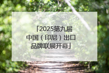 2025第九届中国（印尼）出口品牌联展开幕