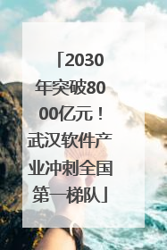 2030年突破8000亿元！武汉软件产业冲刺全国第一梯队