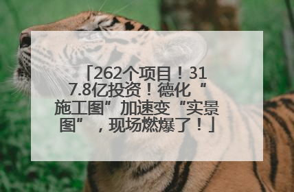 262个项目！317.8亿投资！德化“施工图”加速变“实景图”，现场燃爆了！
