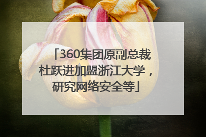 360集团原副总裁杜跃进加盟浙江大学，研究网络安全等