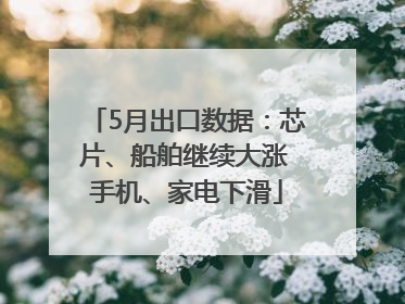 5月出口数据：芯片、船舶继续大涨 手机、家电下滑