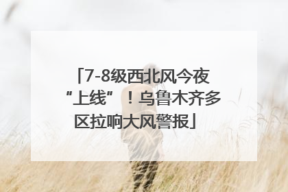 7-8级西北风今夜“上线”！乌鲁木齐多区拉响大风警报