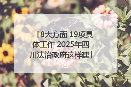 8大方面 19项具体工作 2025年四川法治政府这样建