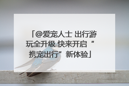 @爱宠人士 出行游玩全升级 快来开启“携宠出行”新体验