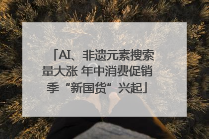 AI、非遗元素搜索量大涨 年中消费促销季“新国货”兴起