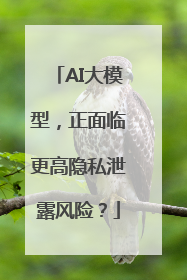 AI大模型，正面临更高隐私泄露风险？