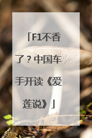 F1不香了？中国车手开读《爱莲说》