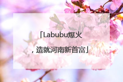 Labubu爆火，造就河南新首富