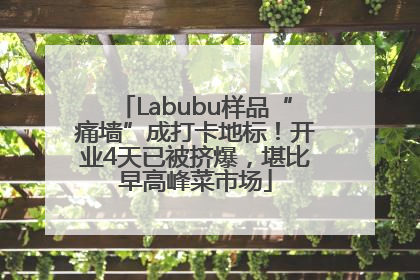 Labubu样品“痛墙”成打卡地标！开业4天已被挤爆，堪比早高峰菜市场